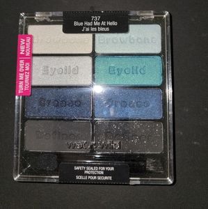 Wet n Wild Color Icon Blue Had Me At Hello palette